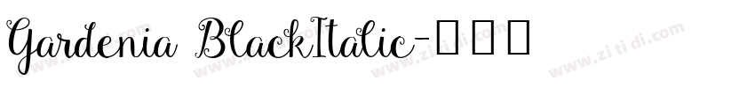 Gardenia BlackItalic字体转换